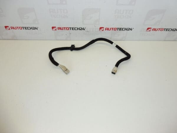 Citroën Peugeot screen kabel 9687260380 6574KZ