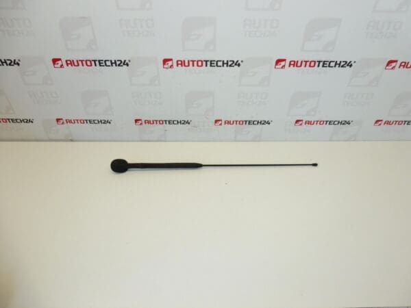 Kompletna antena Citroën C3 Pluriel 6561R7 656197