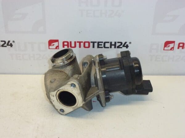 Novi EGR1.6 HDI Citroën Peugeot 9685640480 1618NR