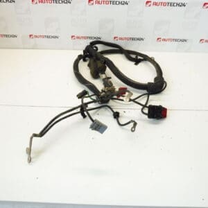 Pozitivni kabel akumulatora Citroën Peugeot 2.2 HDI 9655276580 5642FV