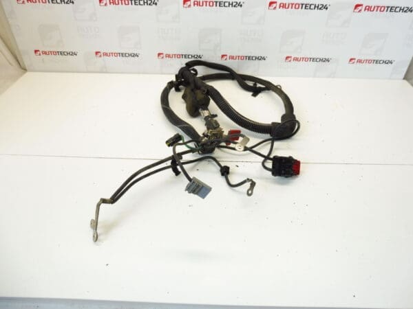 Pozitivni kabel akumulatora Citroën Peugeot 2.2 HDI 9655276580 5642FV