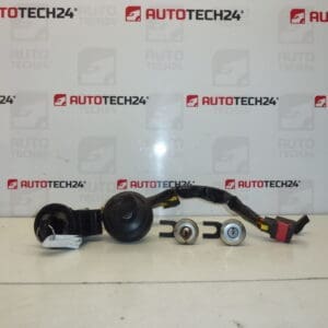 Set brava 2 ključa Citroën Xsara Picasso 4162W5 4162S0