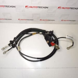 Priključni kabel + pol u motoru Citroën Peugeot 1400721280 1400812780